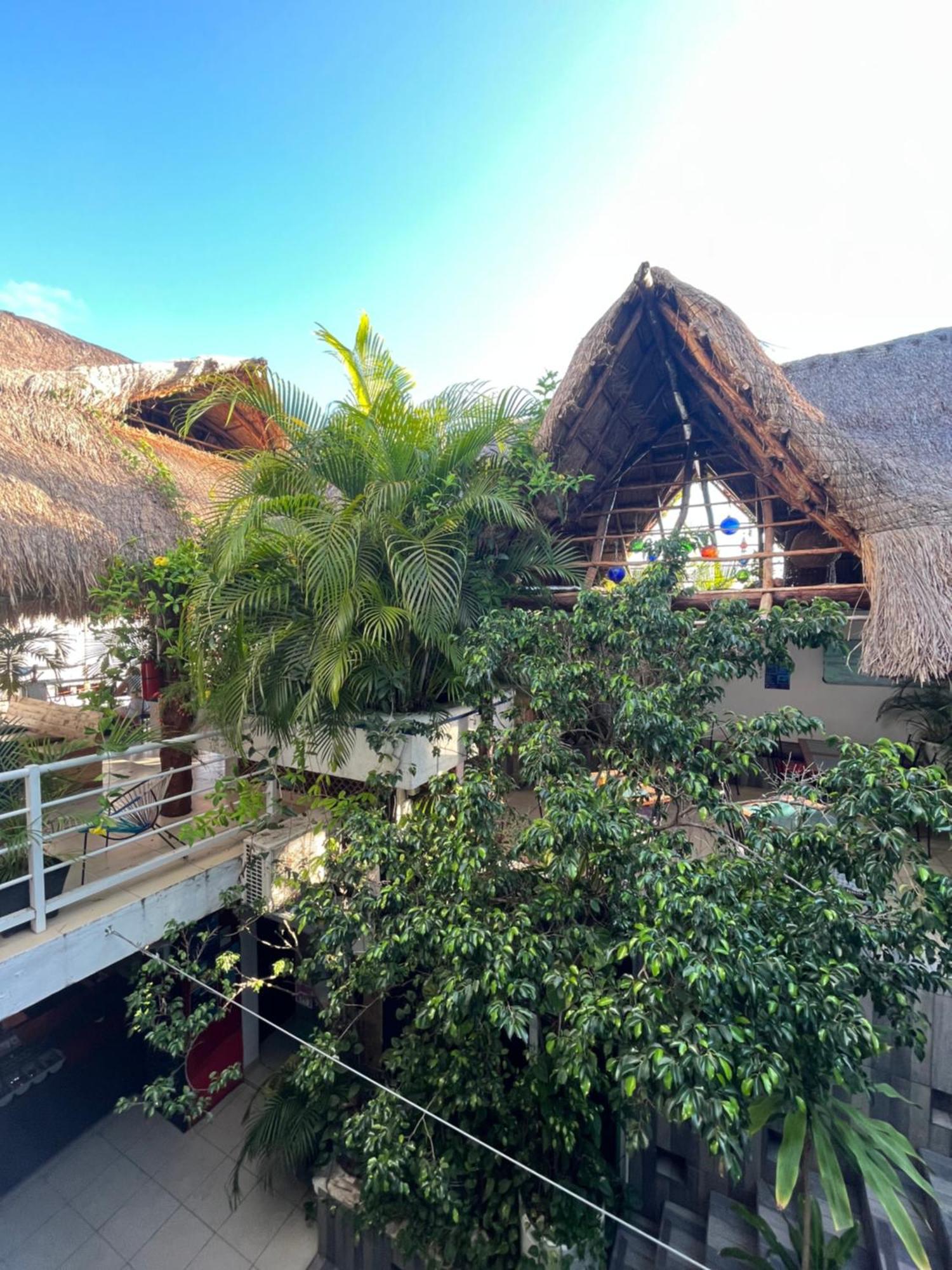 Hostelito Hotel Cozumel Eksteriør billede