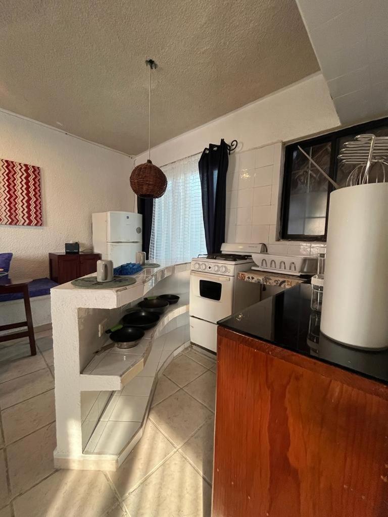 Hostelito Hotel Cozumel Værelse billede